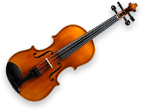 violin